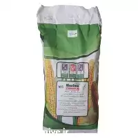 خرید پخش بذر ذرت علوفه ای در فارس در گروه خرید و فروش بذر ذرت در یکمیوه