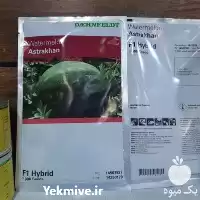 قیمت خرید عرضه بذر هندوانه آستاراخان در گروه خرید و فروش بذر هندوانه در یکمیوه