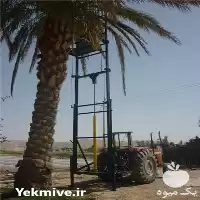فروش بالابر درخت خرما در گروه خرید و فروش خرما در یکمیوه