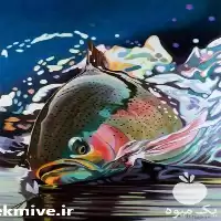 غذای ماهی قزل الا صادراتی در گروه خوراک شیلات و آبزیان در یکمیوه