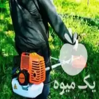 باغ فتاشی و هرس باغ در لاهیجان در گروه هرس کاری در یکمیوه