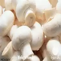 خرید آموزش پرورش قارچ دکمه ای در گروه دوره آموزش کشاورزی در یکمیوه