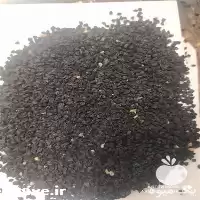 قیمت خرید بذر سبزیجات در خراسان رضوی در گروه خرید و فروش بذر سبزی در یکمیوه