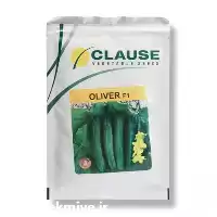 قیمت خرید بذر خیار الیور کلوز در گروه خرید و فروش بذر خیار در یکمیوه