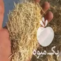 فروش علوفه و خوراک دام یوسفی در ماسوله در گروه خوراک دام و طیور در یکمیوه