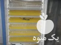 خرید دستگاه جوجه کشی تمام اتوماتیک در قم در گروه تجهیزات مرغداری در یکمیوه -عکس1