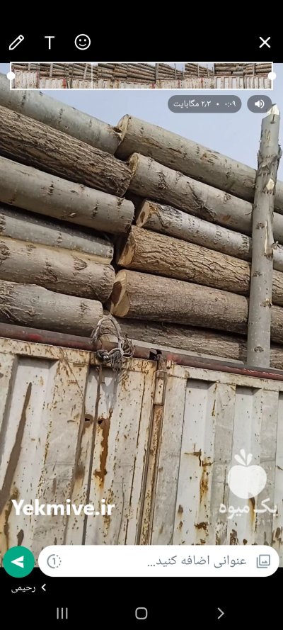 چوب صنوبر قطر 15 تا 25 برش خورده در اهر  در گروه خرید و فروش انواع چوب در یکمیوه -عکس1