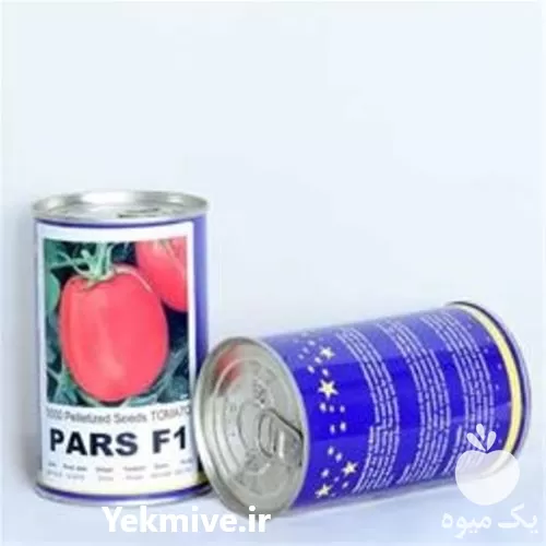 فروش بذر صیفی جات در خوزستان در گروه خرید و فروش بذر صیفی جات در یکمیوه -عکس1