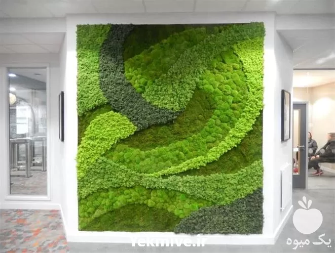 دیوار سبز خزه ای تولید و نصب در گروه سازنده در یکمیوه -عکس1