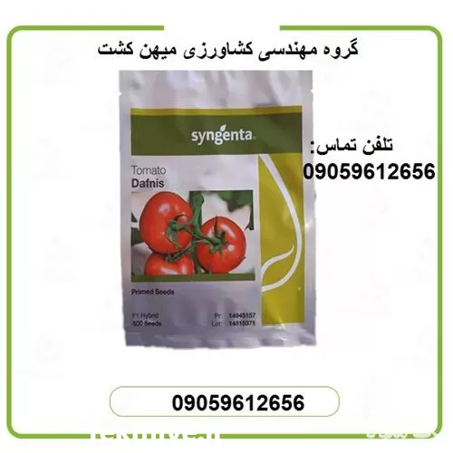 بذر گوجه گلخانه ای دافنیس در اصفهان در گروه خرید و فروش بذر گوجه در یکمیوه -عکس1