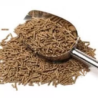 خرید انواع مکمل های دامی ویژه در تهران در گروه دارو و داروخانه در یکمیوه -عکس1