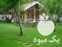 طراحی فضای سبز در تهران در گروه خدمات باغبانی در یکمیوه -عکس1