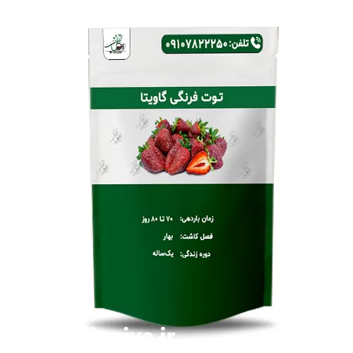 فروش عمده بذر توت فرنگی گاویتا در اصفهان در گروه خرید و فروش انواع بذر در یکمیوه -عکس1