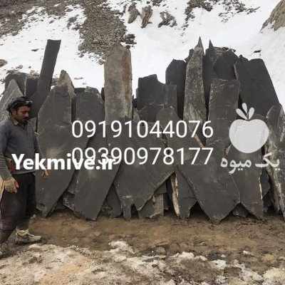 لاشه ورقه ای مالونی مستقیم در گروه سازنده در یکمیوه -عکس1