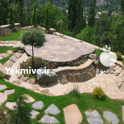 لاشه ورقه ای مالونی مستقیم در گروه سازنده در یکمیوه -عکس4