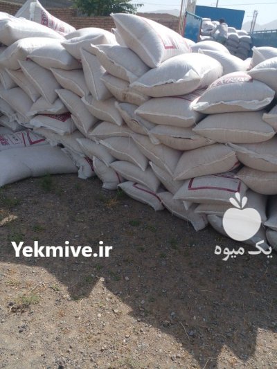 فروش کانسانتره پروار در کلات در گروه خوراک دام و طیور در یکمیوه -عکس1
