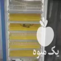 خرید دستگاه جوجه کشی تمام اتوماتیک در قم در گروه تجهیزات مرغداری در یکمیوه