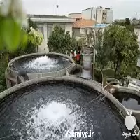 آموزش پرورش ماهی قزل آلا در گروه دوره آموزش کشاورزی در یکمیوه