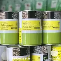 خرید بذر پیاز Minerva انزا هلند در خوزستان در گروه خرید و فروش بذر پیاز در یکمیوه