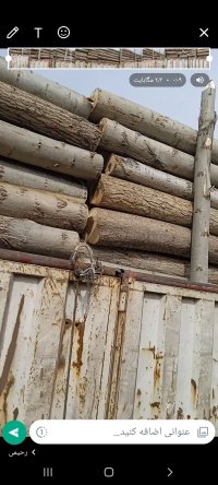چوب صنوبر قطر 15 تا 25 برش خورده در اهر  در گروه خرید و فروش انواع چوب در یکمیوه