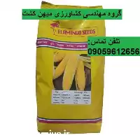 بذر ذرت سمیرا فلامینگو در گروه خرید و فروش بذر ذرت در یکمیوه