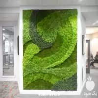 دیوار سبز خزه ای تولید و نصب در گروه سازنده در یکمیوه