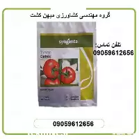 بذر گوجه گلخانه ای دافنیس در اصفهان در گروه خرید و فروش بذر گوجه در یکمیوه