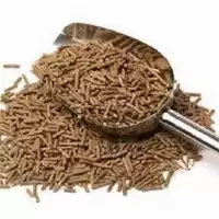 خرید انواع مکمل های دامی ویژه در تهران در گروه دارو و داروخانه در یکمیوه