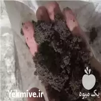 فروش خاک باغچه نرم و پودری در رشت در گروه انواع محصولات خاک و تغذیه در یکمیوه