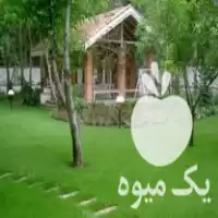 طراحی فضای سبز در تهران در گروه خدمات باغبانی در یکمیوه