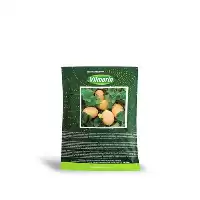 فروش بذر ملون رازان در گروه خرید و فروش بذر ملون در یکمیوه