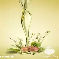 فروش روغن آرگان با قیمت رقابتی در تهران در گروه خرید و فروش انواع روغن در یکمیوه