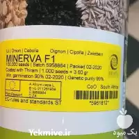 خرید بذر پیاز با کیفیت عالی در گروه خرید و فروش بذر پیاز در یکمیوه