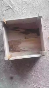 جعبه انگور