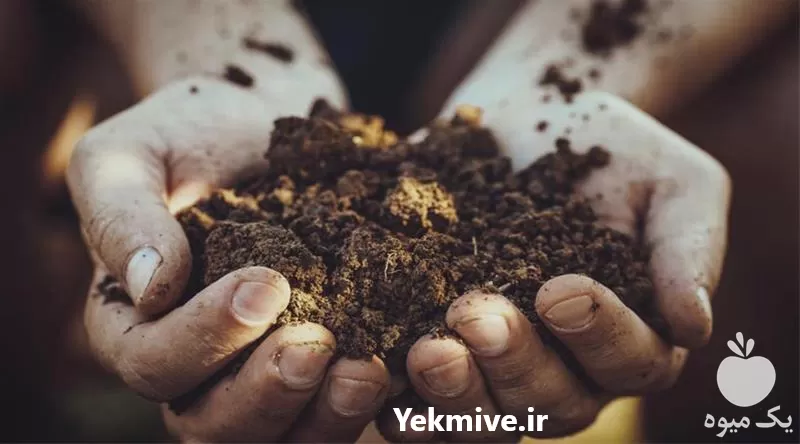 خاک روف گاردن در گروه انواع محصولات خاک و تغذیه در یکمیوه -عکس1