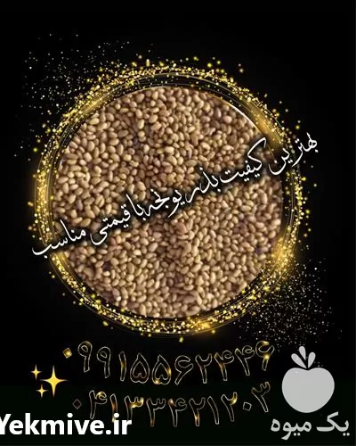 فروش بذر یونجه در گروه خرید و فروش بذر یونجه در یکمیوه -عکس1