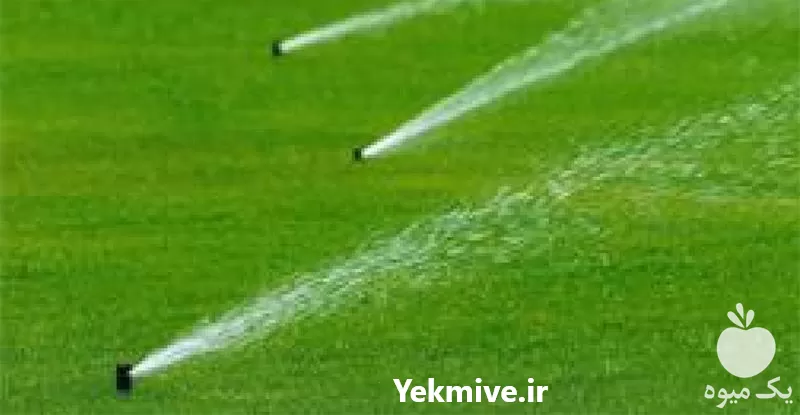 تولید فواره در انواع مختلف در گروه سازنده در یکمیوه -عکس1