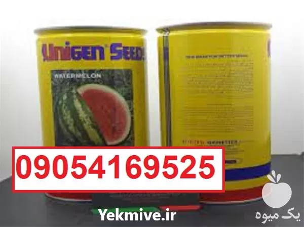 بذر هندوانه یونی ژن سیاه اصل در سیستان و بلوچستان در گروه خرید و فروش بذر هندوانه در یکمیوه -عکس1