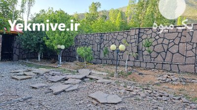 سنگ لاشه ورقه ای مستقیم در گروه سازنده در یکمیوه -عکس2