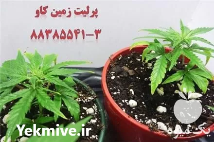 خرید پرلیت کشاورزی و باغبانی Perlite در تهران در گروه خرید و فروش انواع کود کشاورزی در یکمیوه -عکس1