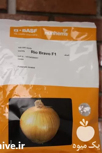 بذر پیاز ریو براوو اصل در خوزستان در گروه خرید و فروش بذر پیاز در یکمیوه -عکس1