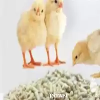 جیره نویسی طیور همراه با اعطای در گروه دوره آموزش کشاورزی در یکمیوه