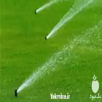 تولید فواره در انواع مختلف در گروه سازنده در یکمیوه