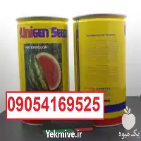 بذر هندوانه یونی ژن سیاه اصل در سیستان و بلوچستان در گروه خرید و فروش بذر هندوانه در یکمیوه