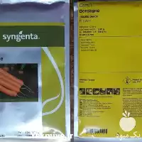 قیمت خرید بذر هویج دوردوگنه سینجنتا در تهران در گروه خرید و فروش بذر هویج در یکمیوه