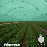 فروش شید گلخانه ای در گروه خرید و فروش توری گلخانه در یکمیوه