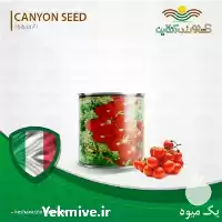 خرید بذر گوجه چری گیلاسی کنیون در تهران در گروه خرید و فروش بذر گوجه در یکمیوه