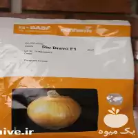 بذر پیاز ریو براوو اصل در خوزستان در گروه خرید و فروش بذر پیاز در یکمیوه