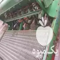 خرید عمیق کار هاسیا لا تریلر در اردبیل در گروه خرید و فروش عمیق کار در یکمیوه