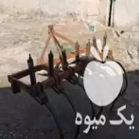 فروش پنجه غازی در قره آغاج در گروه خرید و فروش پنجه غازی در یکمیوه